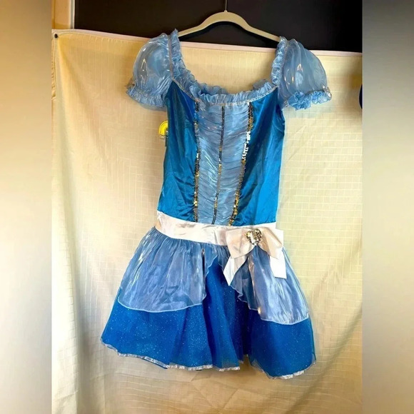 Disney Princess  CINDERELLA Blue Dress Size: Jr LARGE 11-13  Costume- dress only - Picture 1 of 3